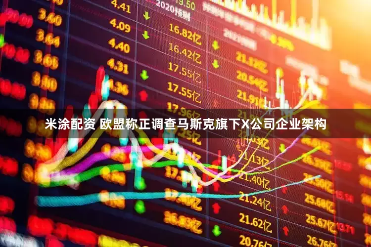 米涂配资 欧盟称正调查马斯克旗下X公司企业架构