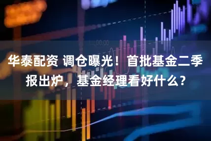 华泰配资 调仓曝光！首批基金二季报出炉，基金经理看好什么？