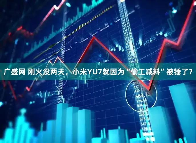 广盛网 刚火没两天，小米YU7就因为“偷工减料”被锤了？