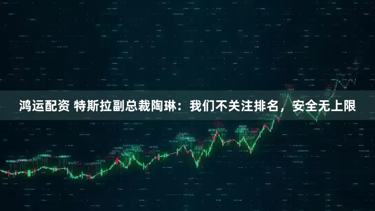 鸿运配资 特斯拉副总裁陶琳：我们不关注排名，安全无上限
