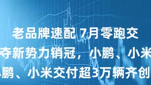 老品牌速配 7月零跑交付5万辆再夺新势力销冠，小鹏、小米交付超3万辆齐创新高