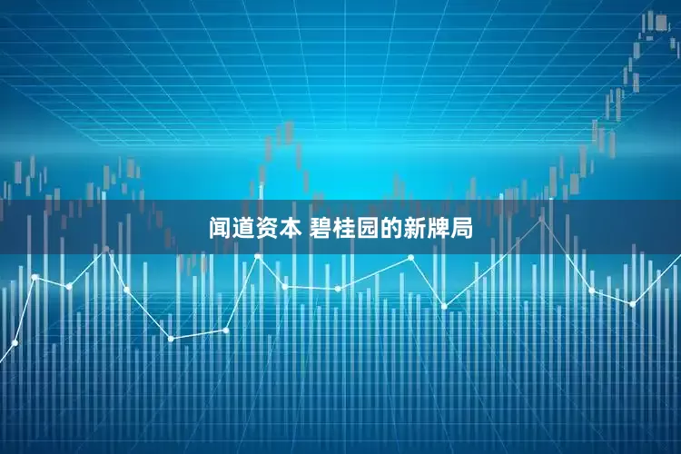 闻道资本 碧桂园的新牌局