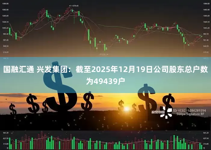 国融汇通 兴发集团：截至2025年12月19日公司股东总户数为49439户