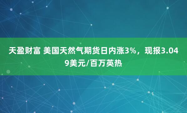 天盈财富 美国天然气期货日内涨3%，现报3.049美元/百万英热